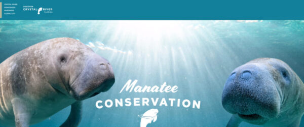 Manatee Conservation Website